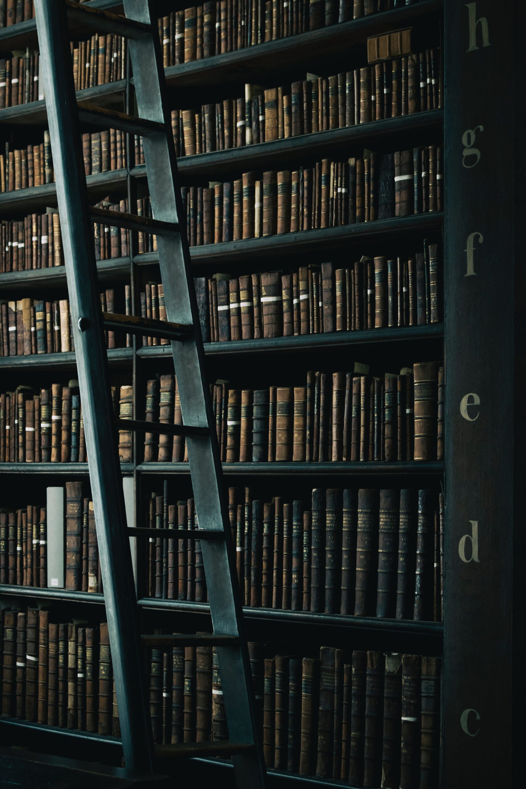 Dark bookshelf with ladder