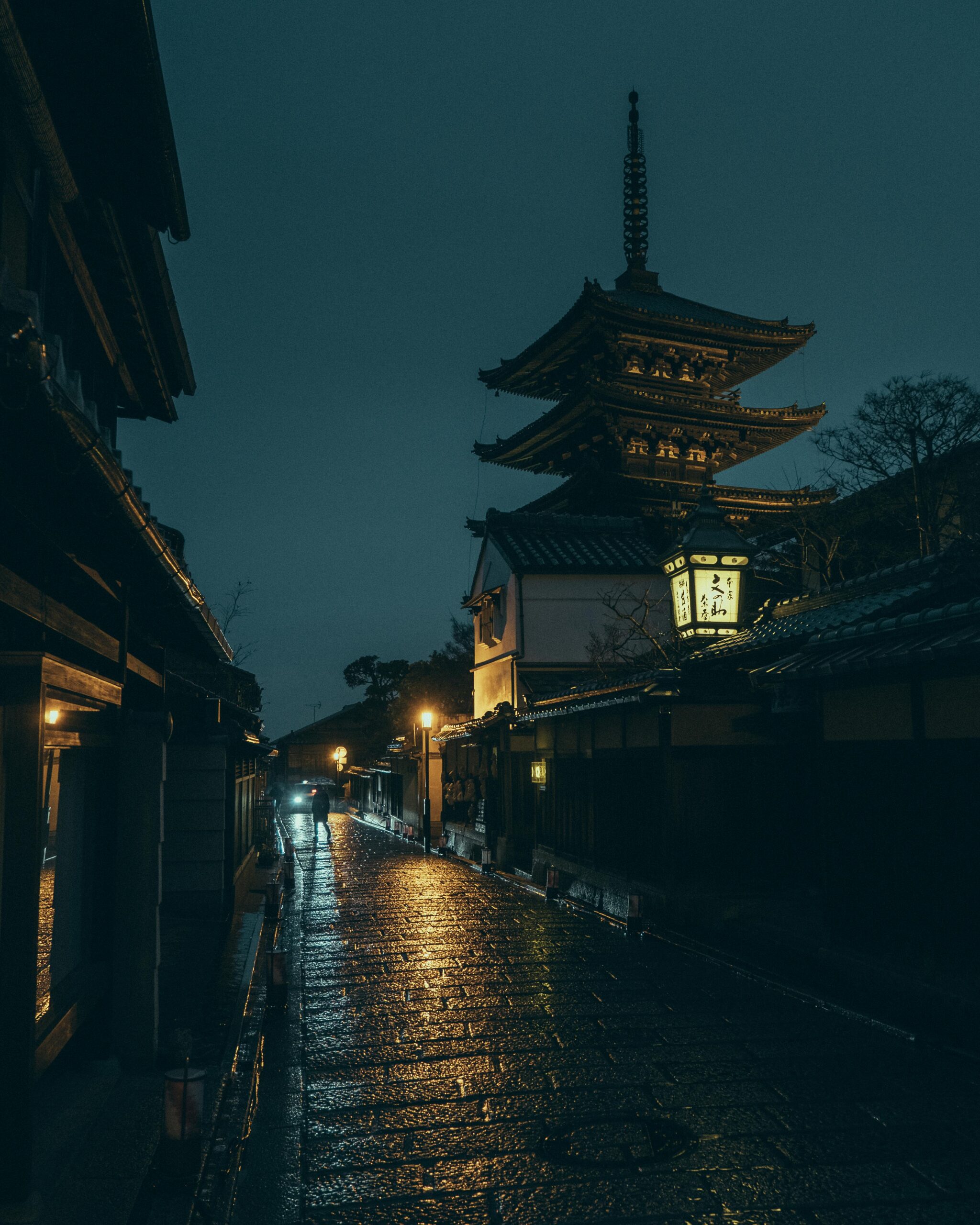 Japan streets at night Riki Shinagawa