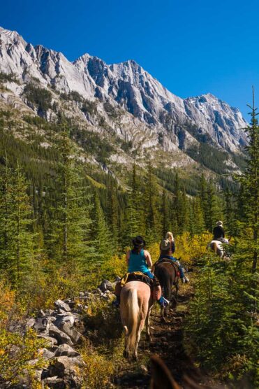 Banff Trail Riders Experience
