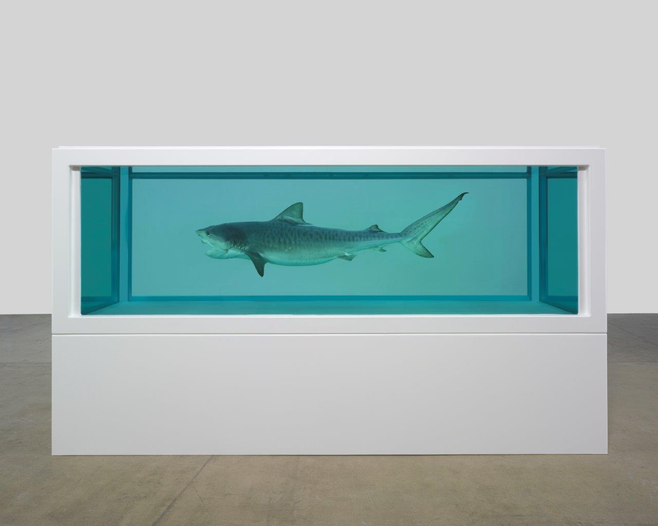 Heaven by Damien Hirst