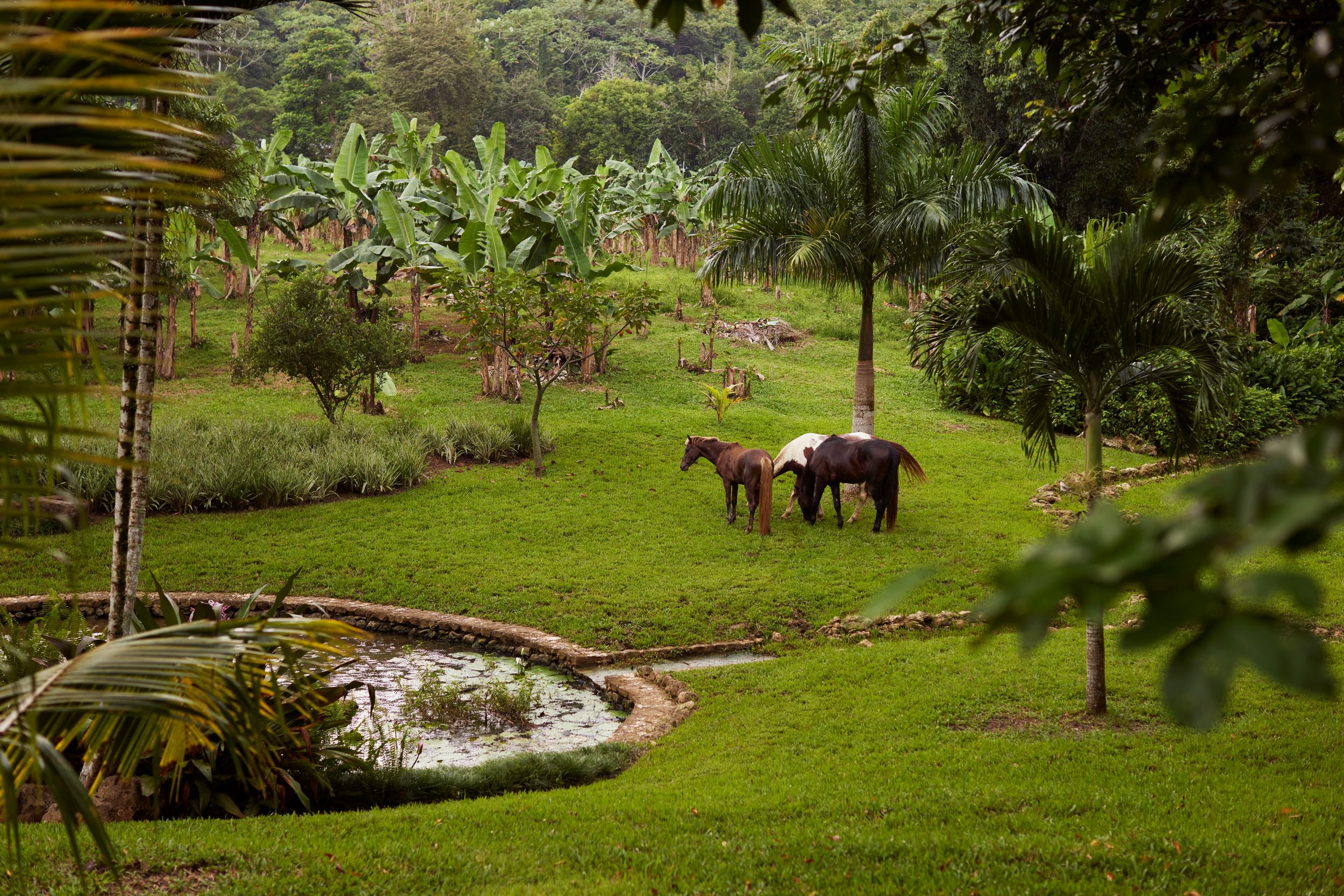 Diplo’s Jamaican Vacation