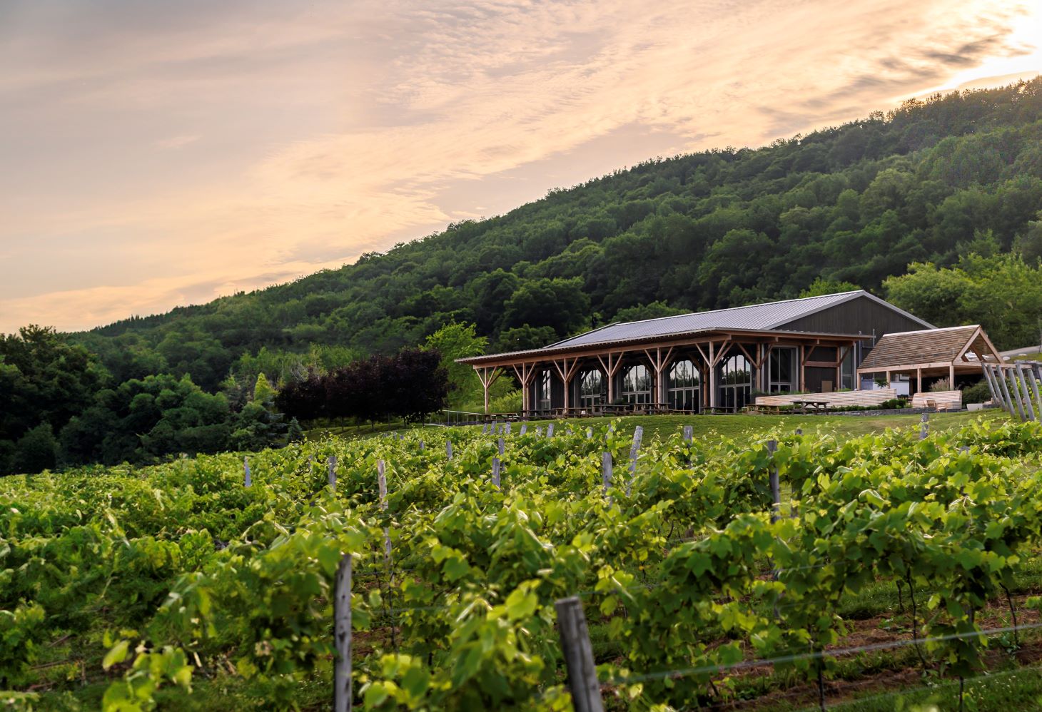 The State of Canadian Sparkling Wine Is Reason Enough to Pop a Bottle