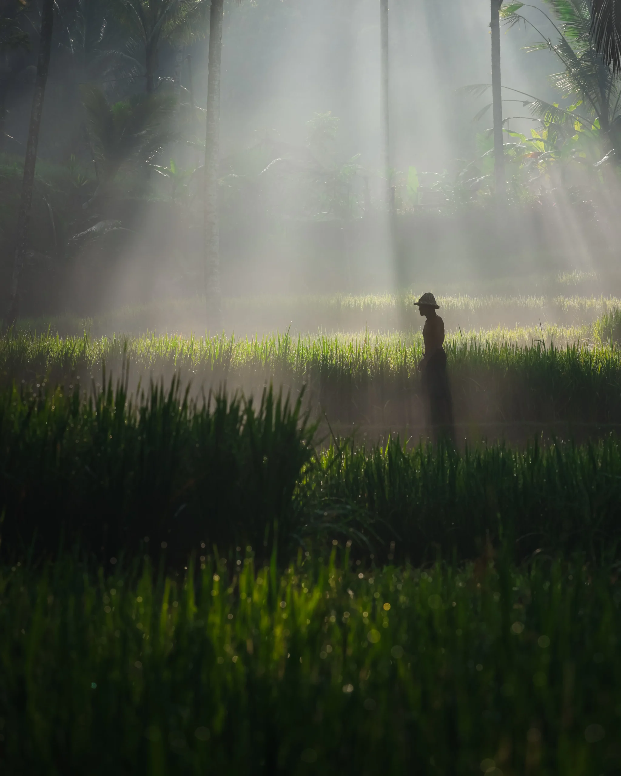 Jord Hammond’s Alluring Travel Photographs of Southeast Asia and Asia-Pacific Countries
