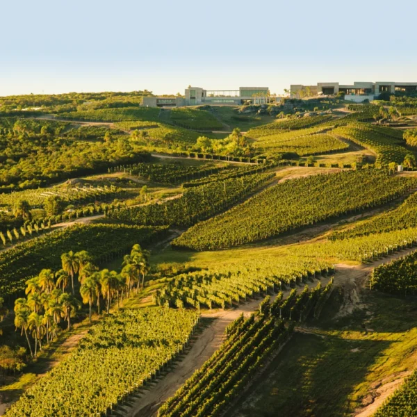 Bodega Garzon