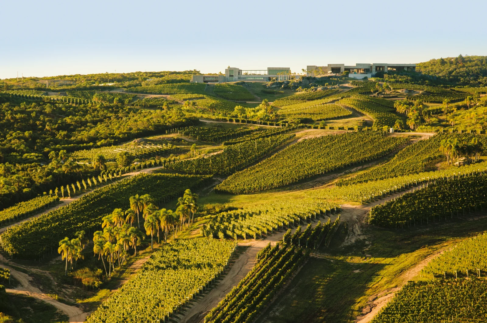 Bodega Garzon