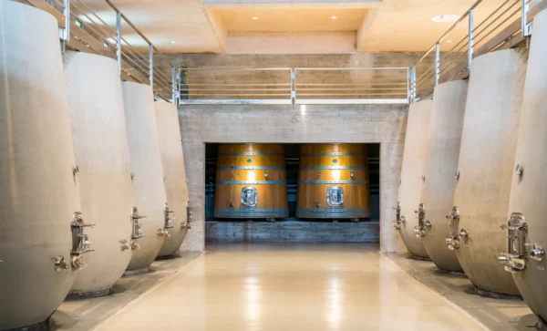 Bodega Garzon 