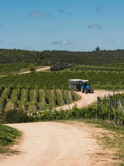 Bodega Garzón