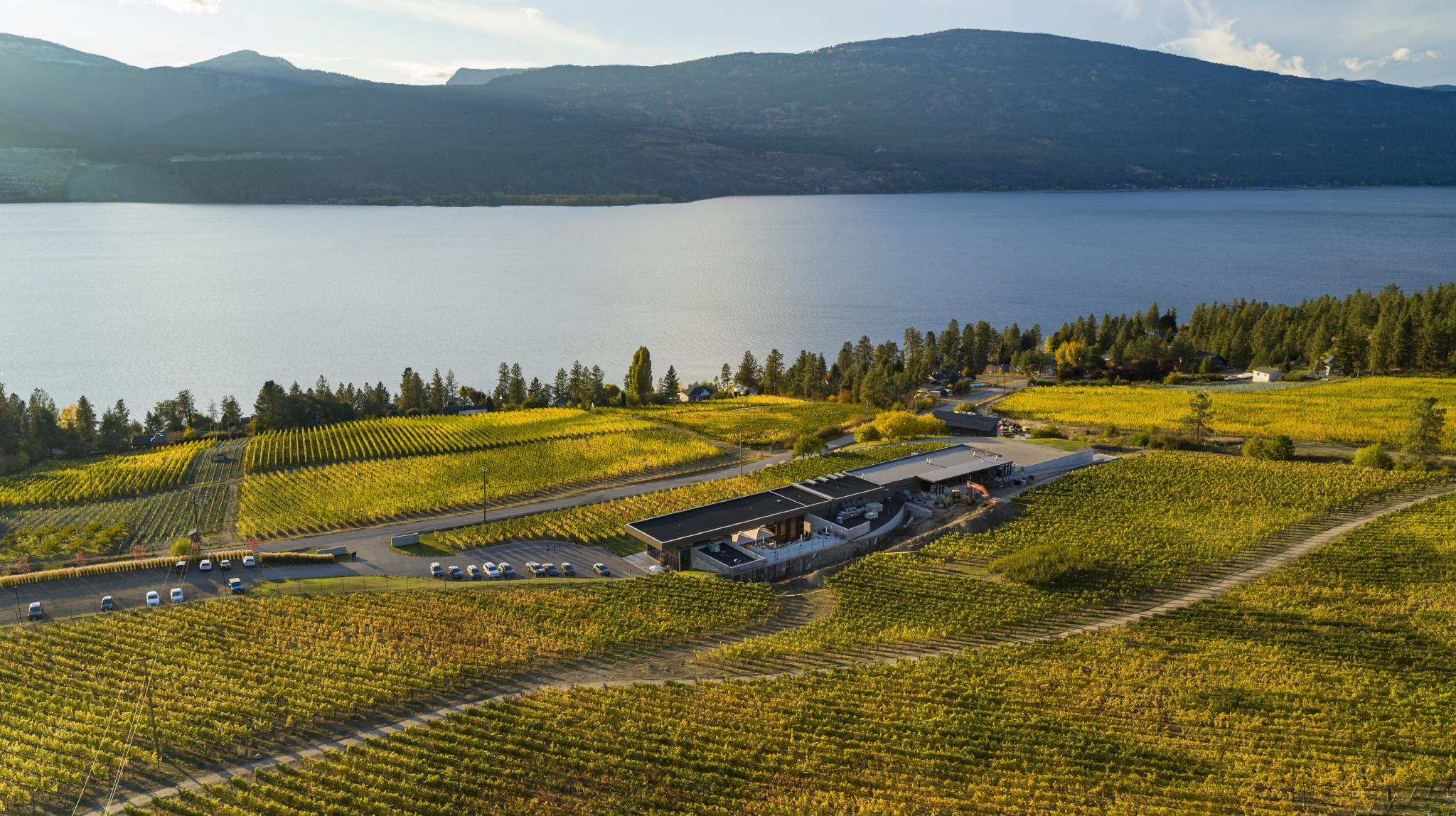 From Vision to Spectacular Realization: 50th Parallel Estate Winery