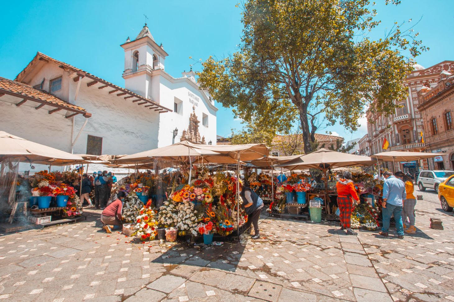 In the Athens of the Andes, Cuenca, Discover Time-Honoured Art and Tradition