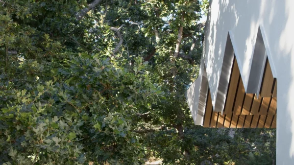 Arbour House